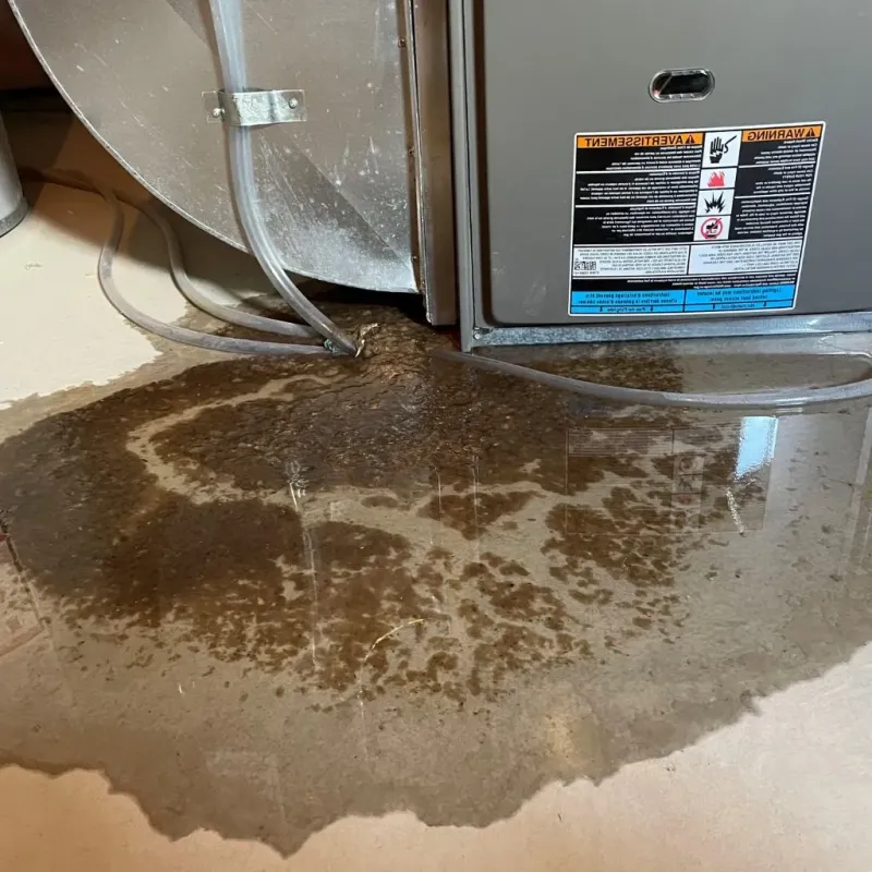 Pipe Burst and Leak Restoration in Wyoming, PA